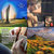 springbeach thumbnail