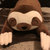 Sungo_the_chipmunk thumbnail