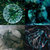 lulu90 thumbnail