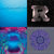 webbtwisco thumbnail