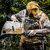 Nova KitFox thumbnail