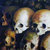 9 thumbnail