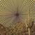Mark Collier thumbnail