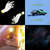 harry_sharpe thumbnail