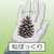 kaiwareradish thumbnail