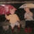 dbproductions1991 thumbnail
