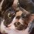 Ruddles thumbnail