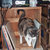 Cooper thumbnail