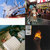 ablatner thumbnail