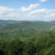 thorngrove thumbnail