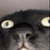radio_amor thumbnail