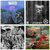 Andrew Littlewood thumbnail