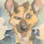 bark_park thumbnail