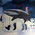 may_wentworth1 thumbnail