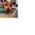 Geoff Collett thumbnail