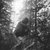 Soen  thumbnail