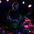 Shaun Sova thumbnail