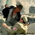 digbum thumbnail