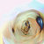 kiakato thumbnail