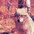 solywyn thumbnail