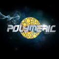 Polymeric image