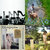 josephhoang11 thumbnail