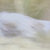 c11 thumbnail