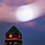 swan_ thumbnail