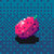 RedCocoa thumbnail