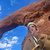 Jeffrey thumbnail