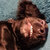 dave ross thumbnail
