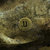 chalkdc thumbnail
