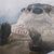 Benjamin Parra thumbnail