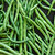 beanpod_0 thumbnail