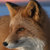 waterrein thumbnail