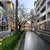 daiki_ito thumbnail