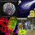 creaturalove thumbnail