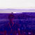 tom_veo thumbnail