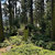 hathesys thumbnail