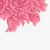 jerlee333 thumbnail