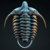 trilobitey thumbnail