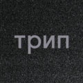 trip recordings image