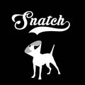 DJ Snatch image