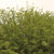 deadite_237 thumbnail