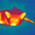 thermalimage thumbnail
