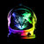 petterofcats thumbnail