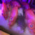aqbb thumbnail