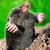 aldo thumbnail