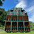 el_giardineros thumbnail