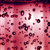 petitesyrah thumbnail